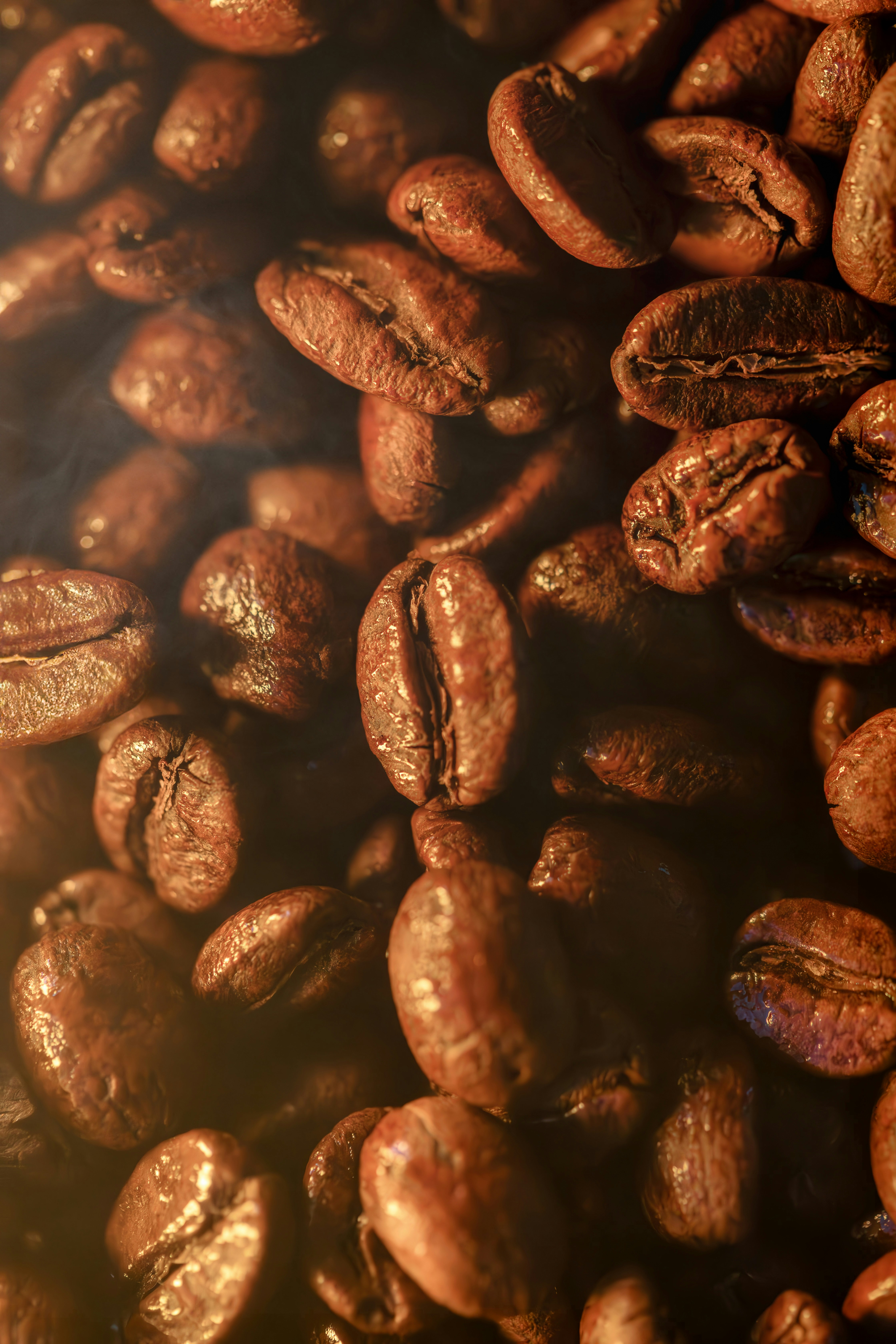 Frisch geröstet Kaffee